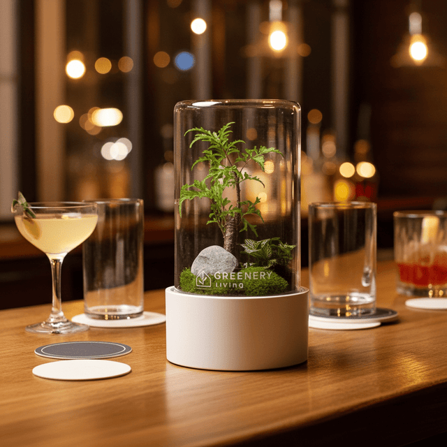 Die 10 häufigsten Fehler im Flaschengarten – und wie du sie vermeidest - Greenery Living