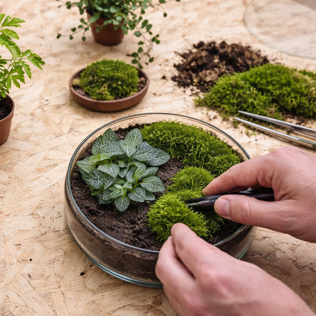 Flaschengarten düngen – wann es sinnvoll ist und wann nicht - Greenery Living