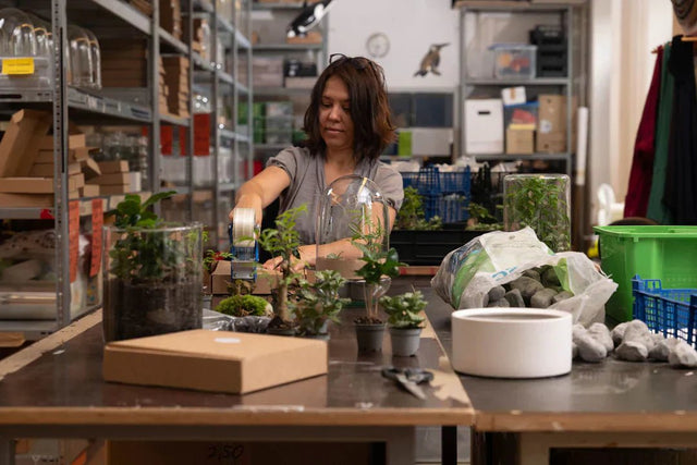 Flaschengarten selber machen: Schritt für Schritt zum Mini Ökosystem - Greenery Living