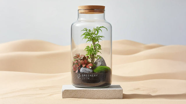 Pflegeleichter Garten: Grün genießen mit minimalem Aufwand - Greenery Living