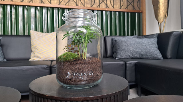 Unsere Flaschengärten erobern das Gästehaus Blumenfisch - Greenery Living