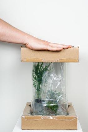 Hochwertige Verpackung für maximalen Schutz: Sorgfältig verpackt, um Schäden zu vermeiden.