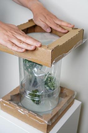 Sicher verpackt und bereit für den Versand: Unser Produkt wird in einer stabilen Verpackung geschützt.