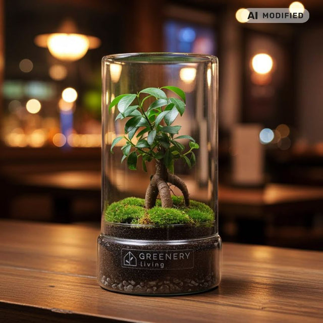 Flaschengarten-DIY-Set von Greenery Living- Hintergrund Bar