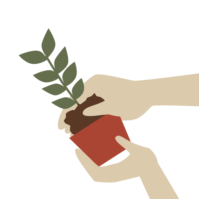 Greenery Living Anleitung Flaschengarten Illustration