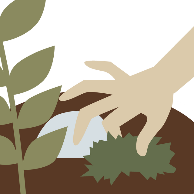 Greenery Living Anleitung Flaschengarten Moos in Erde legen