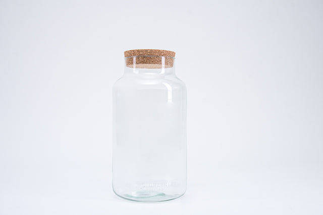 Gläser - perfekte Symbiose aus Glas und Pflanzen.
