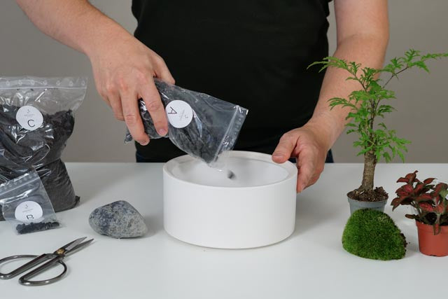 Flaschengarten erstellen Minipflanzen Pflanzen im Glas