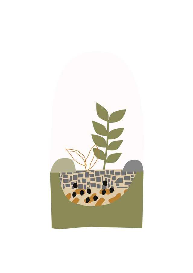 Greenery Living Anleitung Flaschengarten