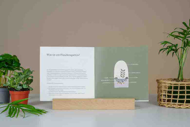 Anleitung Flaschengarten Greenery Living