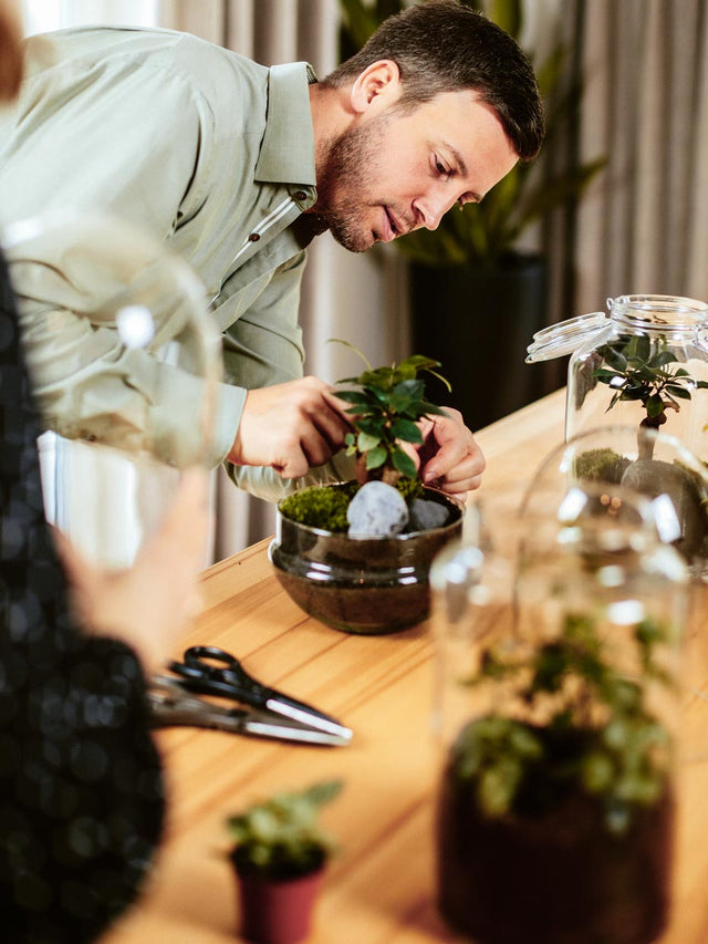 Flaschengarten erstellen Minipflanzen Pflanzen im Glas