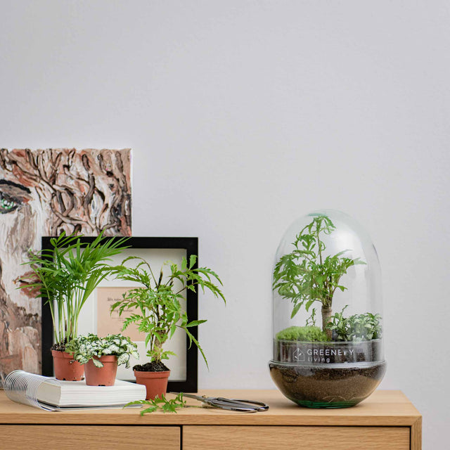 DIY-Flaschengärten von Greenery Living – Perfekt für Pflanzenliebhaber und kreative Köpfe.