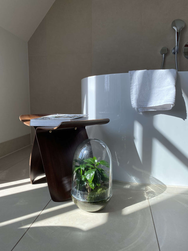 Greenery Living Werbegeschenke – Individuell gestaltete Flaschengärten als nachhaltige und kreative Unternehmenspräsente.