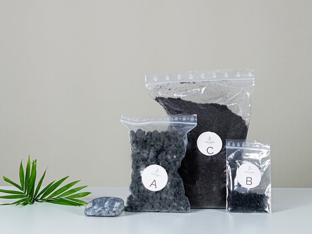 Komponenten für Flaschengarten – pflegeleichter Minigarten mit exotischem Flair