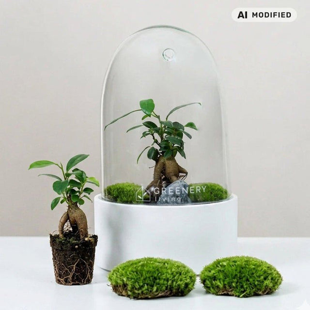 Premium Flaschengarten CERA - Serie (weiß, Dome) DIY - Set - Greenery Living