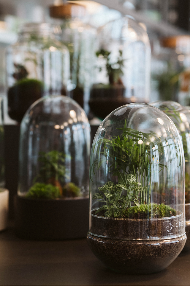 Standort Blumenfisch Store in Berlin-Tempelhof – Kreative Wohnaccessoires in der nähe von Südkreuz.