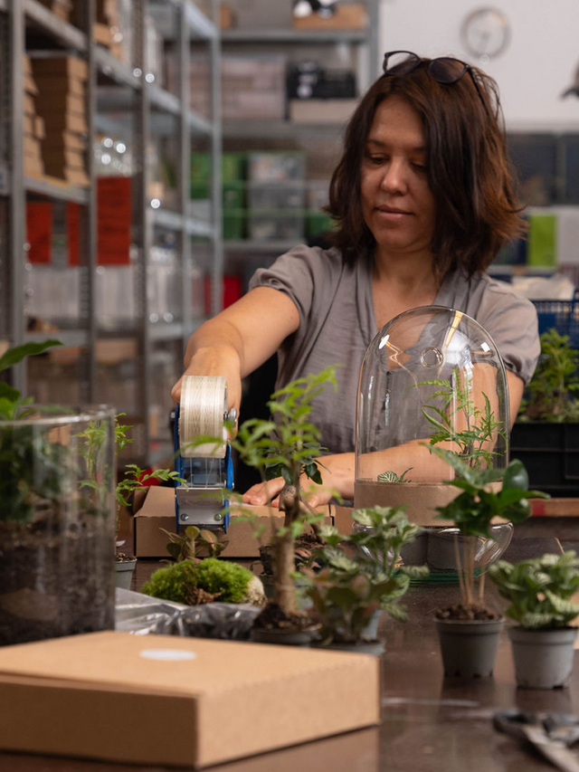 Greenery Living – Das Team hinter den einzigartigen Flaschengärten, das Natur und Design vereint.