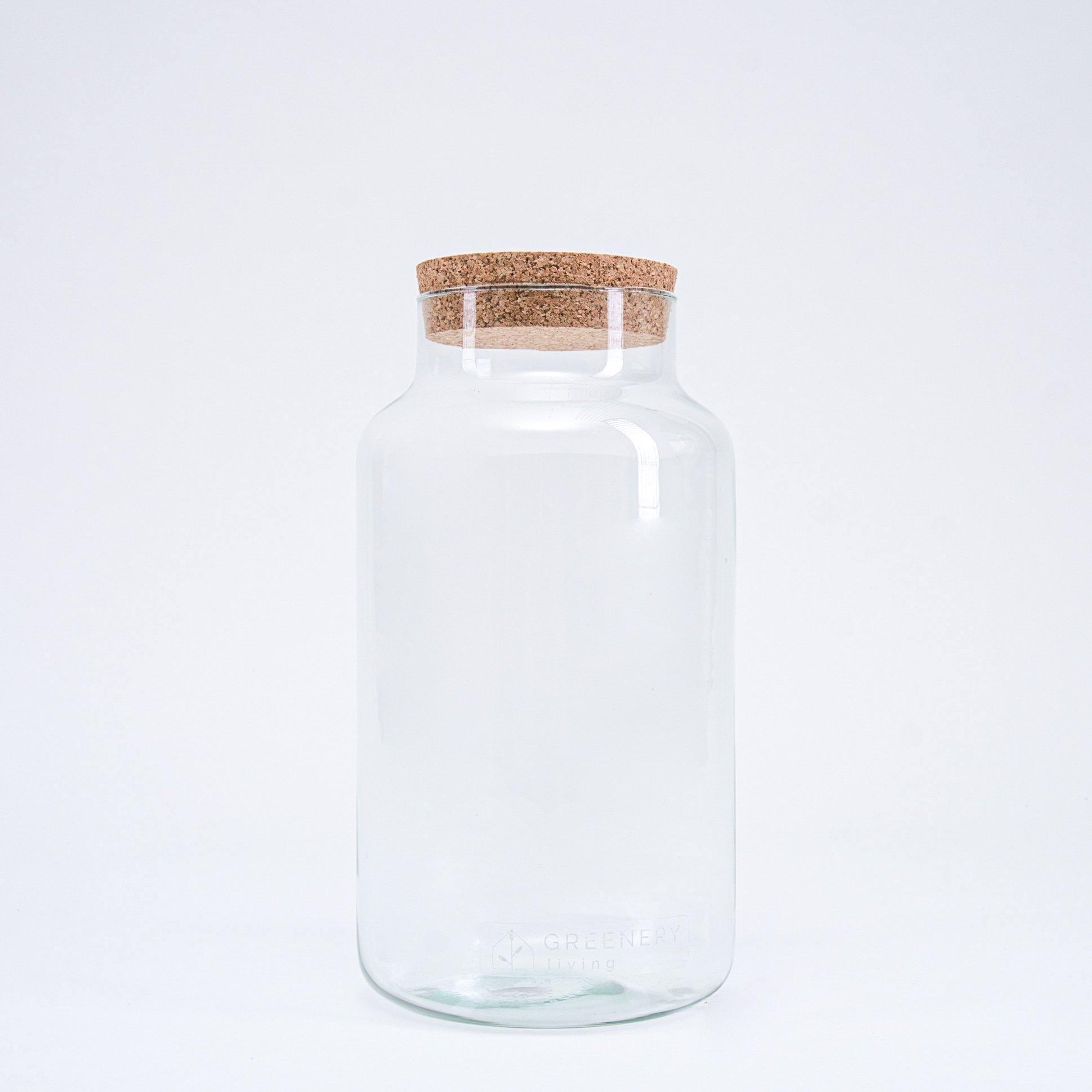 Glas 35cm mit Korkdeckel für Flaschengarten kaufen