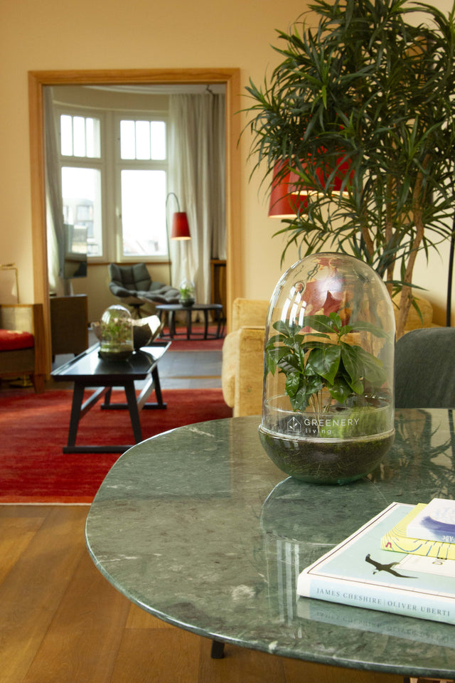 Flaschengärten im Hotel: Wie Greenery Living grüne Akzente in moderne Räume bringt - Greenery Living