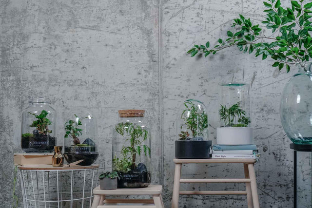 Hilfe zur Auswahl der Gläser - Greenery Living