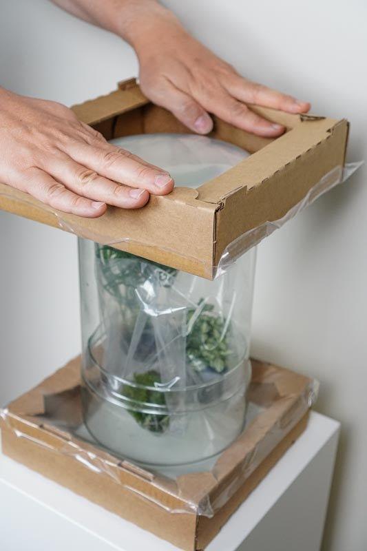 Sicherer Versand von Flaschengärten durch Membran-Karton - Greenery Living