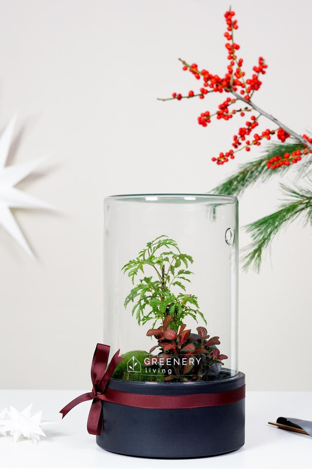 Vorbestellung zu Weihnachten - Greenery Living