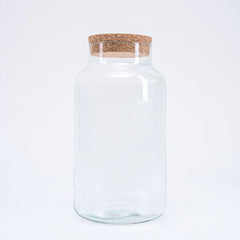 Flaschengarten Glas – Perfekte Gefäße für Ihr DIY Biotop