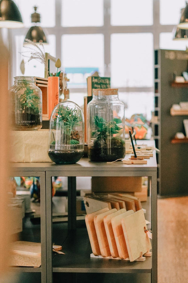 Flaschengarten Blumenfisch Greenery Living