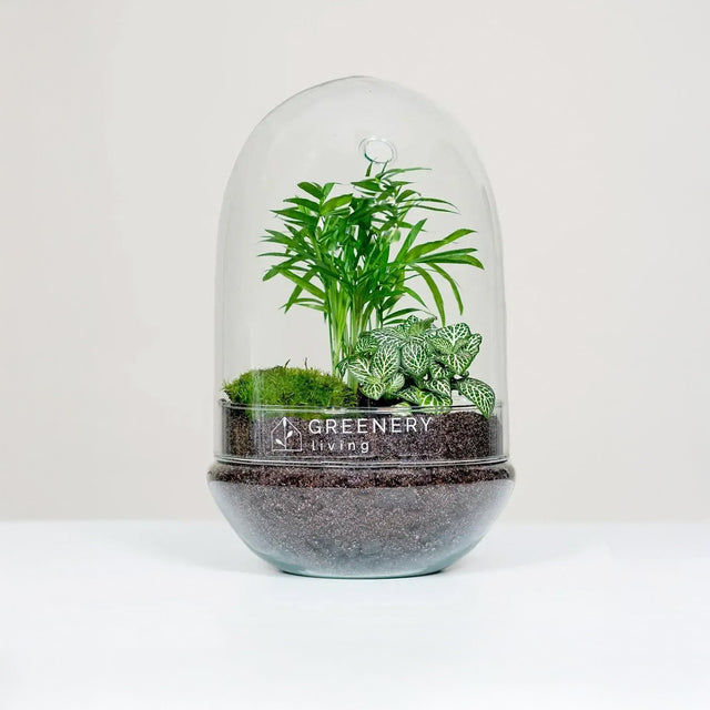 Flaschengarten EGG von Greenery Living