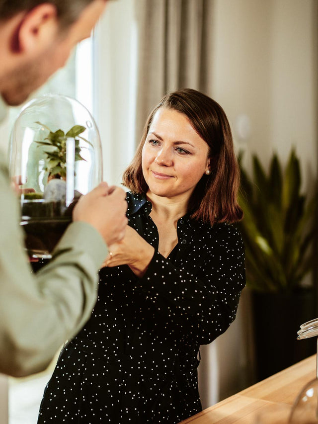 Flaschengarten erstellen Minipflanzen Pflanzen im Glas 