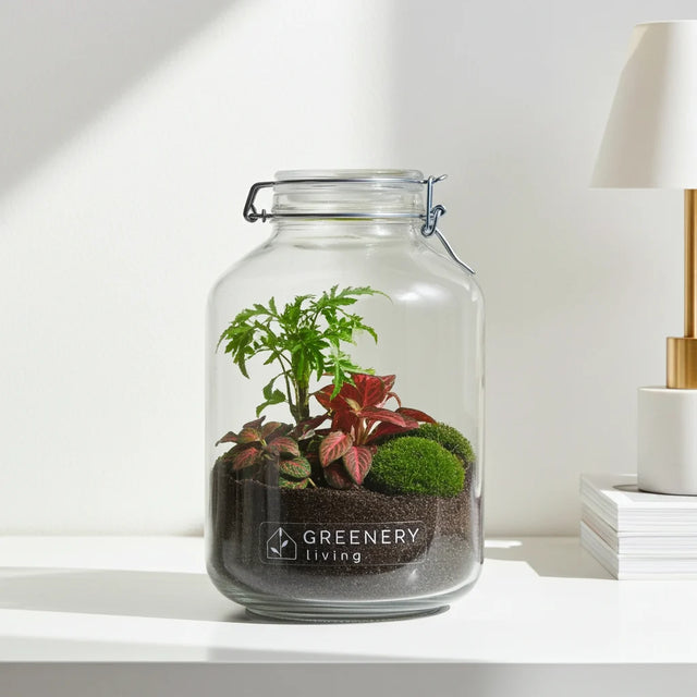 PREMIUM-Flaschengarten Jar DIY mit Pflanzen im Glas - jetzt online bestellen