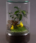Osterhase 3er - Set - Greenery Living