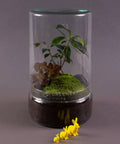 Osterhase 3er - Set - Greenery Living