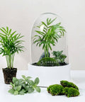 Premium Flaschengarten CERA - Serie (weiß, Dome) DIY - Set - Greenery Living