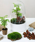 Premium Flaschengarten CERA - Serie (weiß, Dome) DIY - Set - Greenery Living