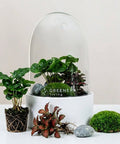Premium Flaschengarten CERA - Serie (weiß, Dome) DIY - Set - Greenery Living