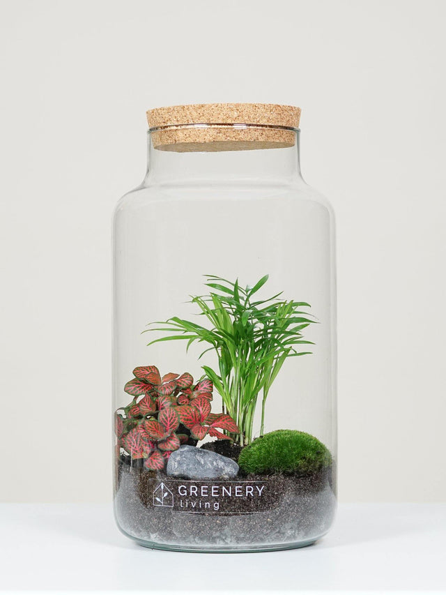 Flaschengarten CORK-Serie DIY-Set Typ-3 von GREENERY living - biotop im glas - Pflanzen im Glas - Garten im Glas