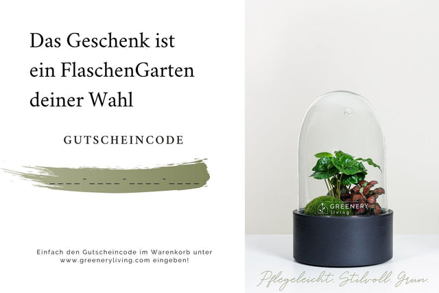 digitaler Geschenk-Gutschein für Flaschengarten DIY-Set - Greenery Living