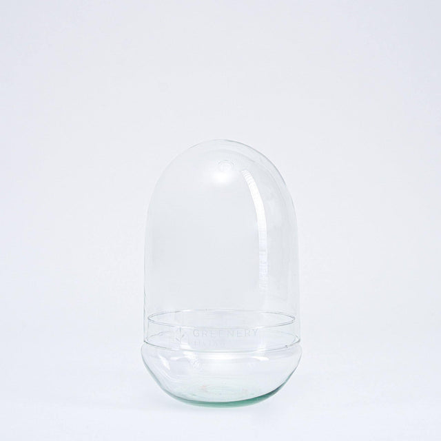 EGG Glas (Höhe: 30 cm) für Flaschengärten - Flaschengarten Shop