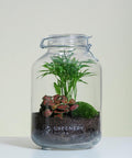 Flaschengarten Mexikanische Bergpalme  | Rote Mosaikpflanze | Moospolster
 Pflanzen im GlasJAR-Serie DIY-Set - Greenery Living