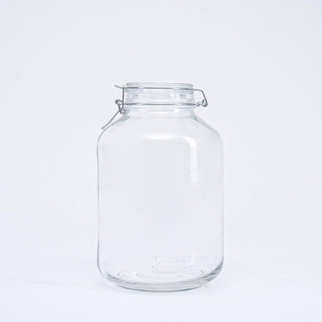 Bocal en verre (5 litres) pour jardins de bouteilles